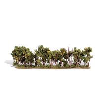 Woodland Scenics TR3581 Classics Tree, Hedge Row 1-2 (1) by Woodland (US IMPORT)