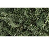 Woodland Scenics Lichen Dark Green
