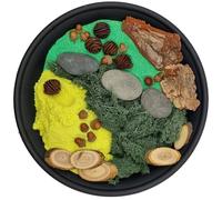 Woodland Sensory Play Set for Kids - Natural Eco-Friendly Play Kit with Green & Yellow Sand, Acorns, Cones, Bark, Moss, Wood Slices & Pebbles - Nature Play, Tuff Tray & Montessori Activities