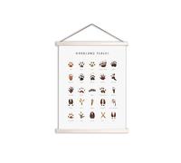 Woodland Tracks Hanging Poster, Canvas Artwork - Forest Animal Tracks Field Guide Sign, Boy & Jungle Nursery Wall Decor - 16x20 Inch