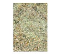 Woodlice Food 50 g Grandma's Pea Stew Feed, Woodlice Protein Lime Mix for a Balanced Nutrition, Growth and Health