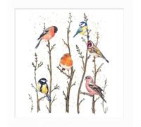 Woodmansterne Artistic Blank Card From British Garden Birds on Branches - Watercolour Illustration By Maria Belen Galizzi - Suitable For Birthdays And Other Occasions