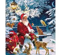 Woodmansterne Artistic Charity Christmas Cards - Father Christmas & Animals - Eco-Friendly & Recyclable - Pack of 5 Cards