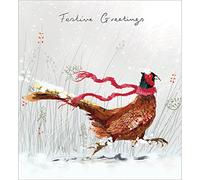 Woodmansterne Artistic Charity Christmas Cards - Festive Pheasant in Scarf - Eco-Friendly & Recyclable - Pack of 5 Cards
