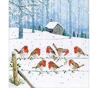 Woodmansterne Artistic Charity Christmas Cards - Winter Robins on Wire Fence Snowy Landscape - Eco-Friendly & Recyclable - Pack of 5 Cards