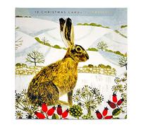 Woodmansterne Box of 10 Christmas Cards in Robin & Hare Designs Assorted Xmas Card Boxes 087515 087515