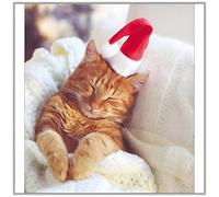 Charity Christmas Cards Pack of 5 - Age UK, Marie Curie, BHF, Mind - Artistic Festive Design -Cat in Santa Hat - Made in the UK - Eco Friendly