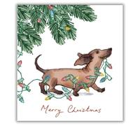 Woodmansterne Charity Christmas Cards Pack of 5 - Assorted Designs - Cute Dachshund Dog and Fairy Lights Design - Festive Christmas Cards Multipack - In Aid of UK Charities