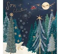 Woodmansterne Christmas Card for Son - Polar Bear and Winter Forest - Foil Finish - Festive Christmas Greeting Card for Him