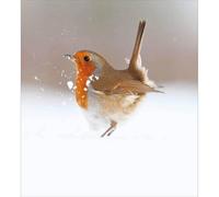 Woodmansterne Christmas Cards Robin Snow Pack of 5 - Charity UK Made Xmas Cards