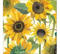 Woodmansterne General Female Blank/Birthday Card for Women - Sunflowers By Emma Bridgewater - Eco-Friendly & Recyclable