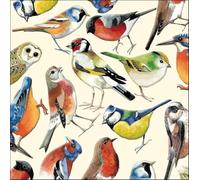 Woodmansterne General Male/Female Blank/Birthday Card for Men/Women - British Birds By Emma Bridgewater - Eco-Friendly & Recyclable