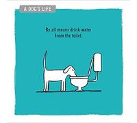 Woodmansterne Humour blank Greetings Card - A Dog's Life - By All Means Drink Water From The Toilet