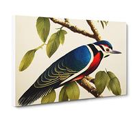 Woodpecker Bird Art Vol.4 Canvas Print | Gallery Wrapped 30mm Frame Wall Art | 30x20 inches | Ready to Hang | Retro Animals Picture | Living Room Bedroom Lounge Office