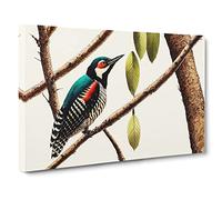 Woodpecker Bird Art Vol.5 Canvas Print | Gallery Wrapped 30mm Frame Wall Art | 30x20 inches | Ready to Hang | Retro Animals Picture | Living Room Bedroom Lounge Office