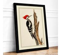 Woodpecker on Branch Botanical Framed Wall Art Print A2 (59.4×42cm) Black, Wall Decor for Living Room, Bedroom, Office & Home, Ready to Hang, Art Gift