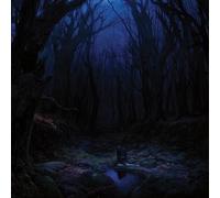 Woods Of Desolation - Torn Beyond Reason (Digipak) (Reissue)