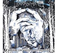 Woods Of Ypres - Woods 5 Grey Skies Electric Light - Vinyl Record 1 - N123z