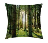 Woods, Scenic Scenery With Sunbeams In The Woods Sunny Summer Day Morning View Picture Cushion Cover Plush Throw Pillow Case Invisible Zipper Cushion Covers For Living Room Birthday Sofa 45X45Cm
