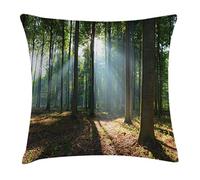 Woods, Woods Morning Haze City Park Ecology Hiking Traveling Destination Scenery Photo Cushion Covers Lovely Pillowcase Decor Throw Pillow Case For Sofa Birthday Living Room 45X45Cm