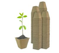 Woodside Compostable Plant Pots 6Cm 160 Pack Biodegradable Paper Seed Pots For Seedlings & Cuttings