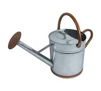 Woodside Silver 9L Metal Garden and Plant Watering Can with Rose