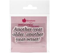 Woodware Clear Magic Minis Just Words - Another Year Older