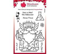 Woodware Clear Stamp Set-Professor Gnome, 4 x 6 in
