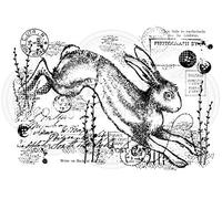 Woodware Francoise Collection Clear Magic Stamp-Vintage Hare, A6, FRS779