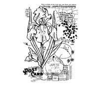 Woodware Francoise Collection - Vintage Iris - Clear Magic Stamp, 10.0 x 13.5 cm