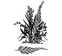 Woodware Jane Gill-Clear Magic Stamp-Ferns, A6