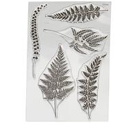 Woodware Jane Gill Clear Magic Stamp - Ferns Transparent A6 JGS484