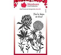 Woodware Jane Gill-Clear Magic Stamp Set-Autumn Flowers, 10 x 15 cm Approx, JGS741