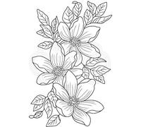 Woodware Jane Gill - Clear Singles Garden Spray - Stamp Transparent JGS757 a6