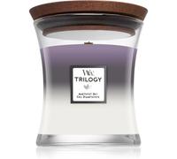 WoodWick Candle Medium Trilogy AMETHYST SKY 275g