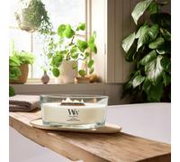 WoodWick Medium Ellipse Jar Candle - Lush Pomelo