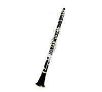 Woodwind Clarinet ABS 17 Bb Silver Gold Plated Professionally Made