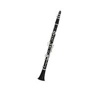 Woodwind Clarinet Adult Beginners Examination Professional Band Playing Black Wind Instrument