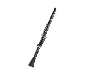 Woodwind Selected Professionally Made Clarinet Black Tube B Flat Beginner Exam