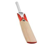 Woodworm Cricket Fireworm Flame Junior Cricket Bat Harrow