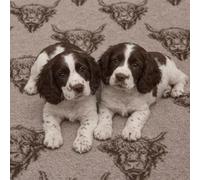 WOOF AND PUP | Non Slip Vet Bedding | Brown Highland Cow Print Pattern | Machine Washable | UK Manufactured | Non-slip | Dog Bed | Whelping | Vet Bed (122cm x 122cm (48" x 48"))