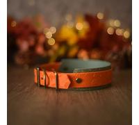 Woof & Snout Foxes Glade Hound Dog Collar - Woof and Snout - Size: Medium