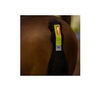 Woof Wear 2025 LED Hi Vis Tail Light - Hi Viz Yellow