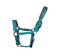 Woof Wear Contour Head Collar - Ocean