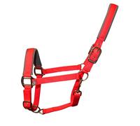 Woof Wear Contour Head Collar Royal Red - Royal Red - Cob