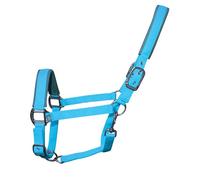 Woof Wear Contour Head Collar Turquoise - Turquoise - Pony