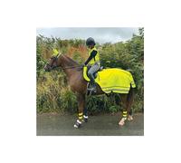 Woof Wear Hi Viz Yellow Exercise Sheet - Large