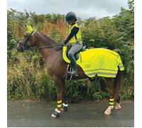 Woof Wear Hi Viz Yellow Exercise Sheet - Medium