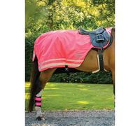 Woof Wear Hi Viz Exercise Sheet - Pink - Medium