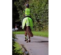 Woof Wear Winter Exercise Sheet Wrap-Around - Yellow - Size: X Large